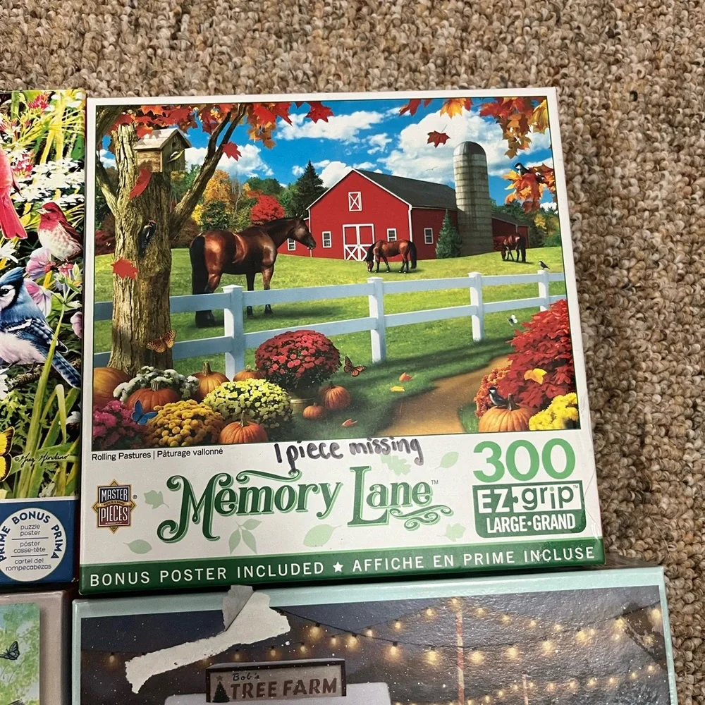 Puzzles - Picture 4 of 7